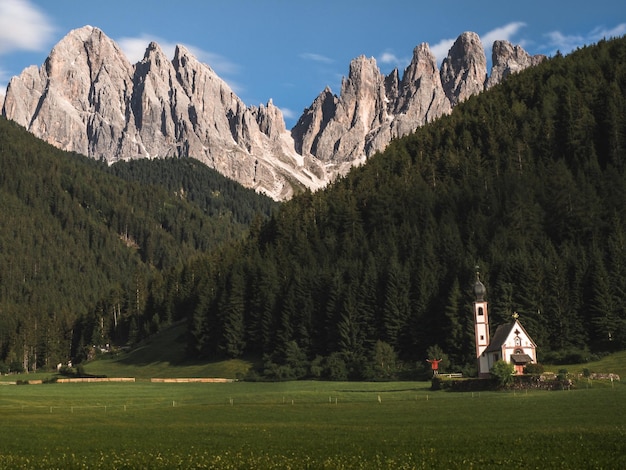 Zdjęcie panoramiczne ujęcie drzew na polu na tle gór