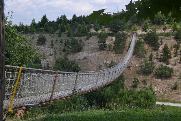 Zdjęcie panoramiczne ujęcie drzew na polu na tle nieba