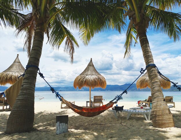 Zdjęcie panoramiczne zdjęcie palm na plaży na tle nieba