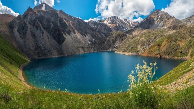 Panoramiczny alpejski krajobraz z górskim jeziorem w zielonej dolinie i lodowcem pod błękitnym niebem Klimatyczna górska sceneria z pięknym jeziorem polodowcowym wśród nasłonecznionych wzgórz i skał na tle pasma górskiego