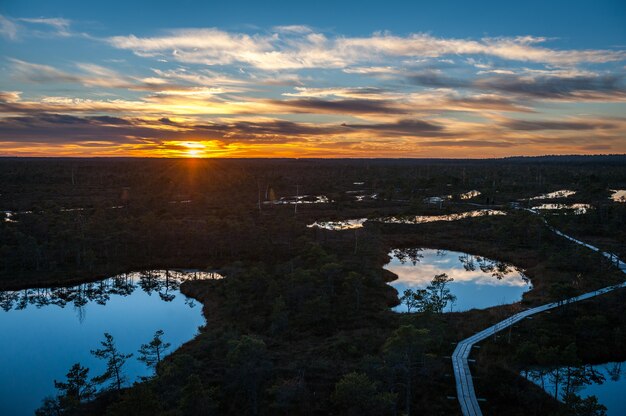 Panoramiczny krajobraz bagna jesienią o zachodzie słońca. Boardwalk w parku narodowym Kemeri. Łotwa, Bałtyk.