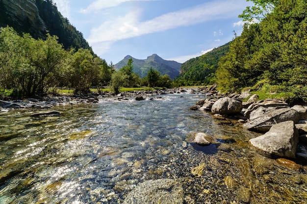 Panoramiczny krajobraz doliny z krystalicznie czystą rzeką, kamieniami i wysokimi drzewami w Ordesa Pirineos. Odbicia w wodzie i błyski słońca.