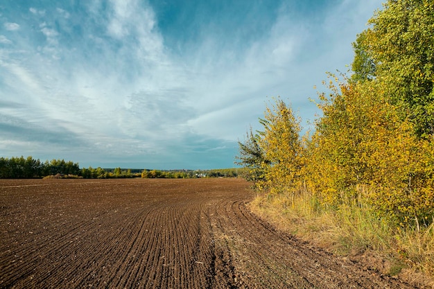 Panoramiczny krajobraz jesiennego lasu i błękitnego nieba...