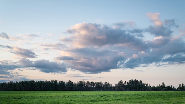 Panoramiczny krajobraz Niebo z pięknymi, dramatycznymi chmurami wzdłuż poziomej linii rustykalnego pola