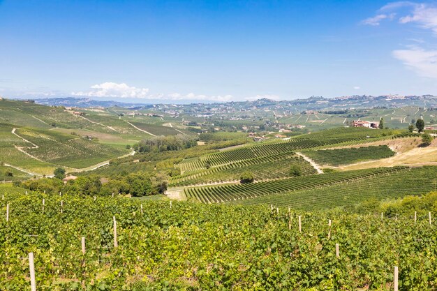 Panoramiczny Krajobraz W Regionie Piemont We Włoszech Malownicze Wzgórze Winnic W Pobliżu Miasta Barolo