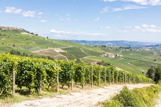 Panoramiczny krajobraz w regionie Piemont we Włoszech Malownicze wzgórze winnic w pobliżu miasta Barolo