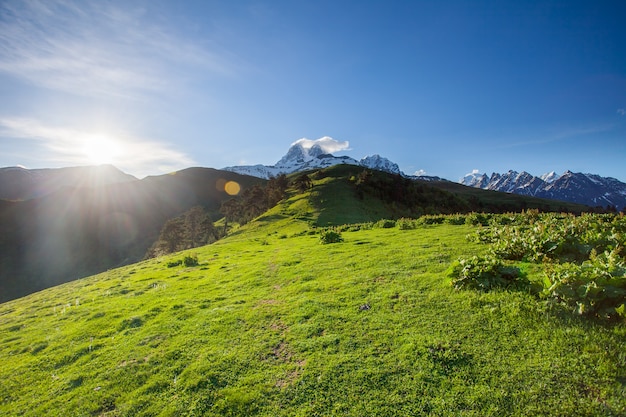 Panoramiczny letni krajobraz z zielonym wzgórzem, ośnieżonym szczytem i ścieżką trekkingową na tle błękitnego nieba. Region Swanetia, Gruzja. Główny grzbiet kaukaski. Wakacje, turystyka, sport, rekreacja