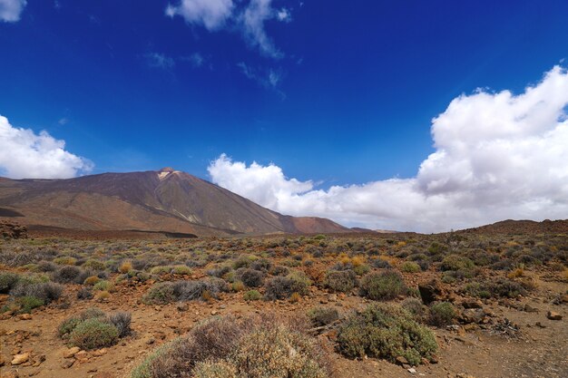 Panoramiczny strzał wulkanicznej góry Teide na Teneryfie