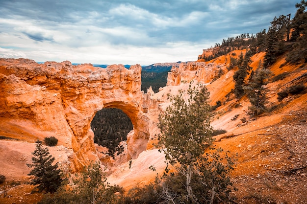 Zdjęcie panoramiczny w pięknym the arch grand escalante w parku narodowym bryce. utah, stany zjednoczone