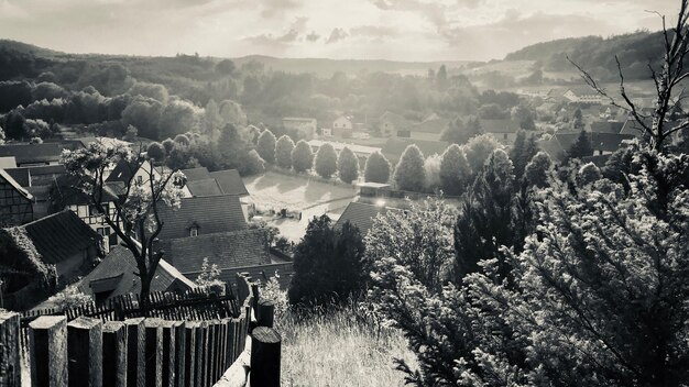 Zdjęcie panoramiczny widok drzew i domów na tle nieba