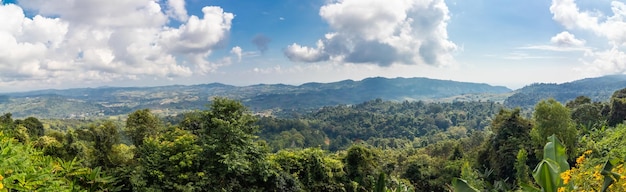 Zdjęcie panoramiczny widok drzew i gór na tle nieba