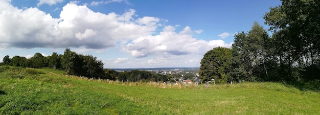 Zdjęcie panoramiczny widok drzew na polu na tle nieba