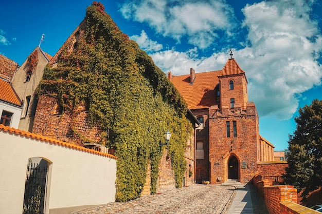 Zdjęcie panoramiczny widok gotyckiej świątyni pośród budynków na tle nieba