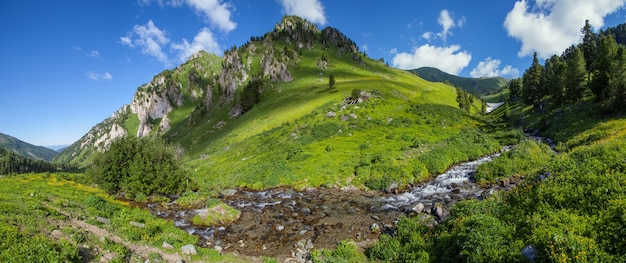 Panoramiczny widok na górską dolinę ze strumieniem w letni dzień