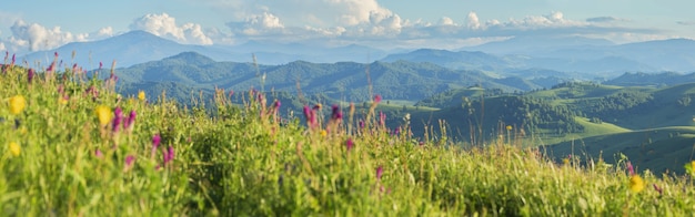 Panoramiczny Widok Na Góry Z Wiosenną Zielenią I Kwiatami