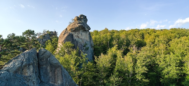 Panoramiczny widok na jasny krajobraz z zielonymi drzewami leśnymi i dużymi skalistymi głazami między gęstymi lasami w lecie. Piękne krajobrazy dzikich lasów.