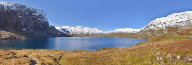 Panoramiczny Widok Na Jezioro Otoczone Ośnieżoną Górą I żółtą Trawą W Norwegii