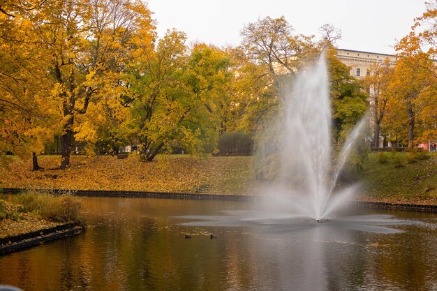 Panoramiczny widok na kanał wodny w parku w centrum Rygi z drzewami z pożółkłymi i czerwonymi