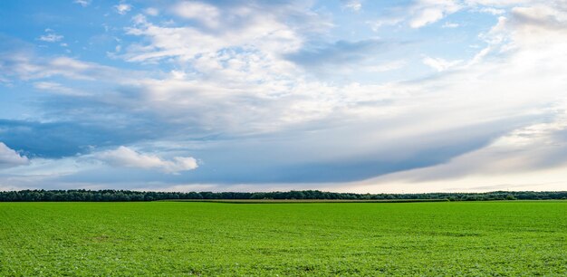 Panoramiczny Widok Na Krajobraz Krajobrazu Z Horyzontem I łąkami