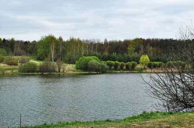 Panoramiczny widok na leśne jezioro. Widok na jezioro i las w pochmurny dzień wiosny.