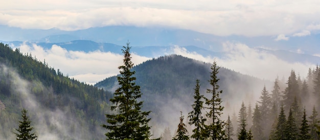 Panoramiczny Widok Na Mgliste Karpaty Z Niskimi Chmurami
