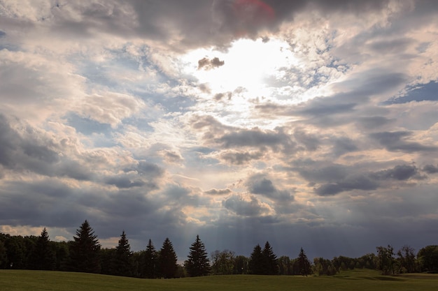 Panoramiczny Widok Na Piękny Letni Park Z Pochmurnym Niebem