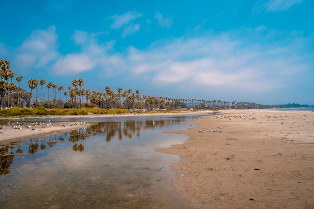 Panoramiczny Widok Na Plażę Santa Barbara Latem I Palmy W Kalifornii. Stany Zjednoczone