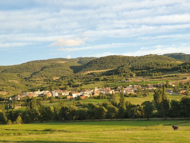 Panoramiczny widok na pole z zieloną trawą i drzewami w okresie letnim.