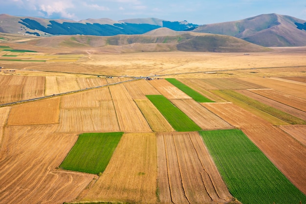 Panoramiczny widok na rolnictwo i pola uprawne