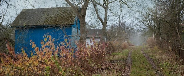 Panoramiczny widok na ścieżkę przez drzewa jesienią i stary drewniany dom Silna mgła i klimatyczny krajobraz