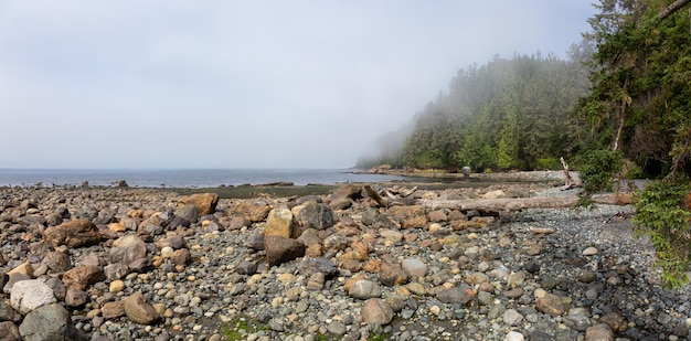 Panoramiczny widok na skalistą plażę na szlaku Juan de Fuca