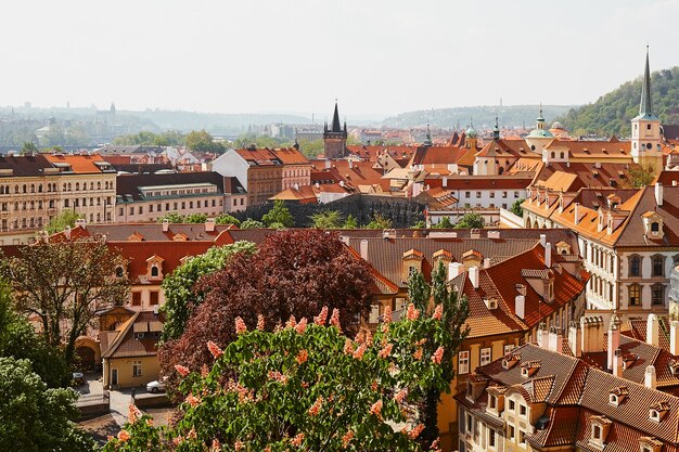 Panoramiczny widok na stare miasto z dachami w pradze