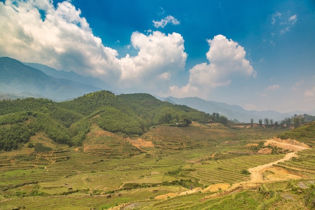 Panoramiczny widok na tarasowe pole ryżowe w Sapa, Lao Cai, Wietnam