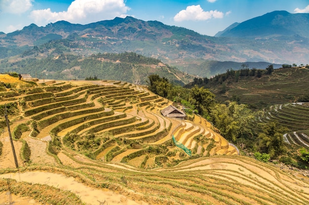 Panoramiczny widok na tarasowe pole ryżowe w Sapa, Lao Cai, Wietnam