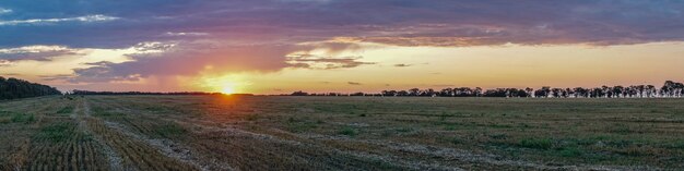 Panoramiczny widok na wschód słońca nad polem. Letni wieczór w Blagoveshenskaya. Anapa, Rosja.