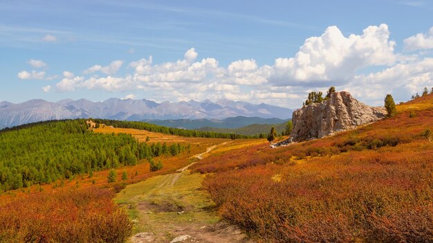 Panoramiczny widok na zepsutą polną drogę przez letni płaskowyż Niesamowita alpejska sceneria z piękną dużą skałą w złotym słońcu w jesiennych kolorach