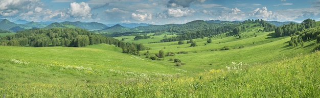 Panoramiczny widok na zielone łąki i wzgórza w letni dzień