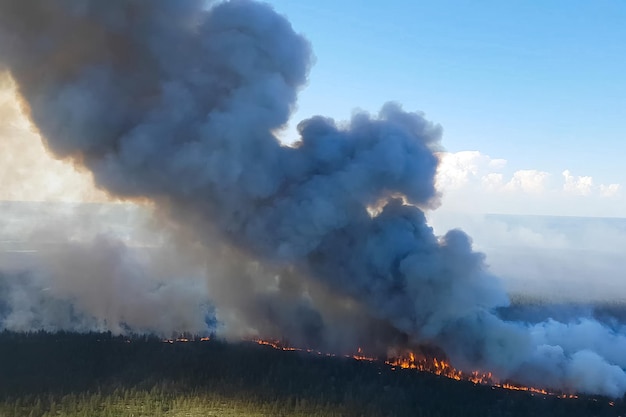 Zdjęcie panoramiczny widok ognia na tle nieba