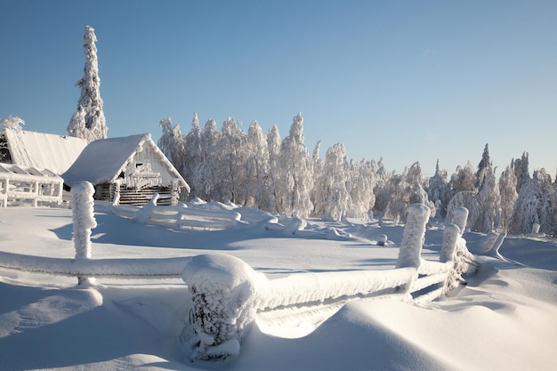 Panoramiczny widok pokrytego śniegiem krajobrazu na jasnym niebie