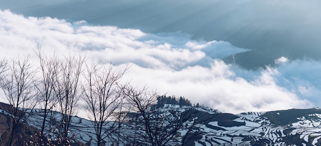 Zdjęcie panoramiczny widok tarasowaci ryżowi pola yuanyang, chiny