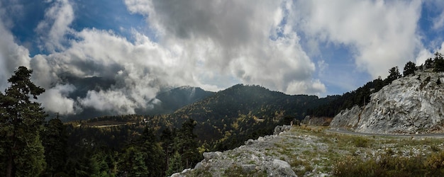 Panoramiczny widok z góry na lasy i serpentyny greckiej wyspy Evia w Grecji