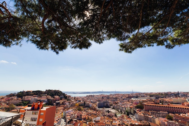 Panoramiczny Widok Z Lizbony Z Zamku W Lizbonie W świetle Dziennym I Drzewa