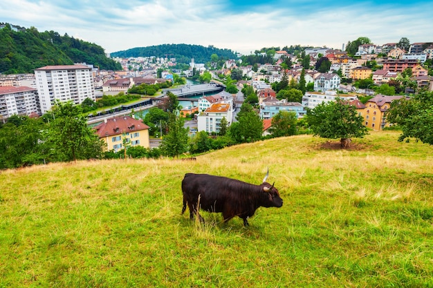 Panoramiczny widok z lotu ptaka miasta Lucerna Szwajcaria