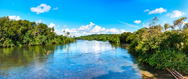 Panoramiczny widok z rzeki Iguazu na brzegach z subtropikalnym lasem deszczowym. Park Narodowy Iguazu znajduje się w prowincji Misiones w Argentynie.