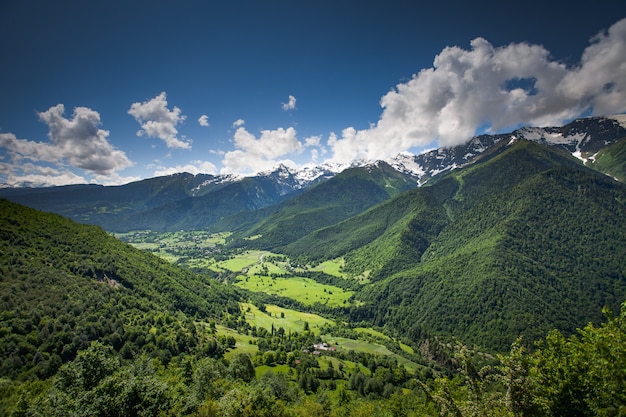 Panoramy lata krajobraz z zielonego wzgórza górą