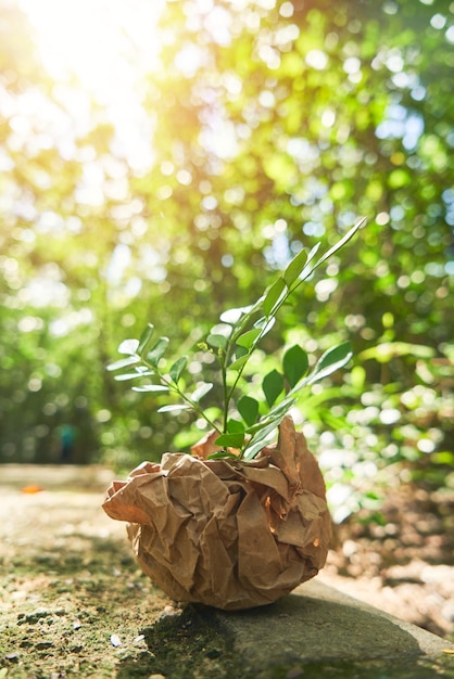 Papier rzemieślniczy z zielonymi liśćmi kiełkuje widok z góry Zero odpadów przyjazny dla środowiska naturalny organiczny plastik bez koncepcji