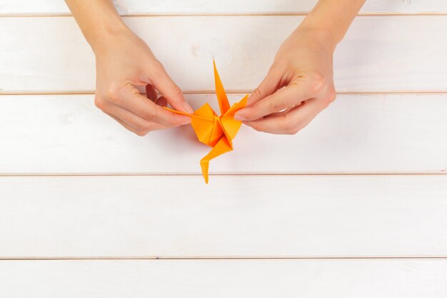 Papiery Origami z bliska