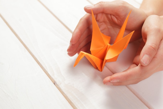 Papiery origami z bliska