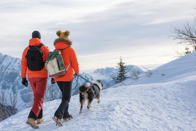 Para alpinistów schodzi z szczytu śnieżnej góry ze swoim psem zimą