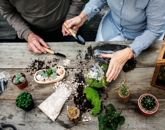 Zdjęcie para robi terrarium z miniaturowymi roślinami